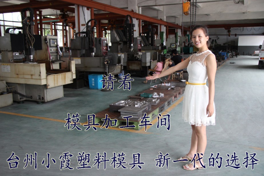浙江小霞模具車間 (59)