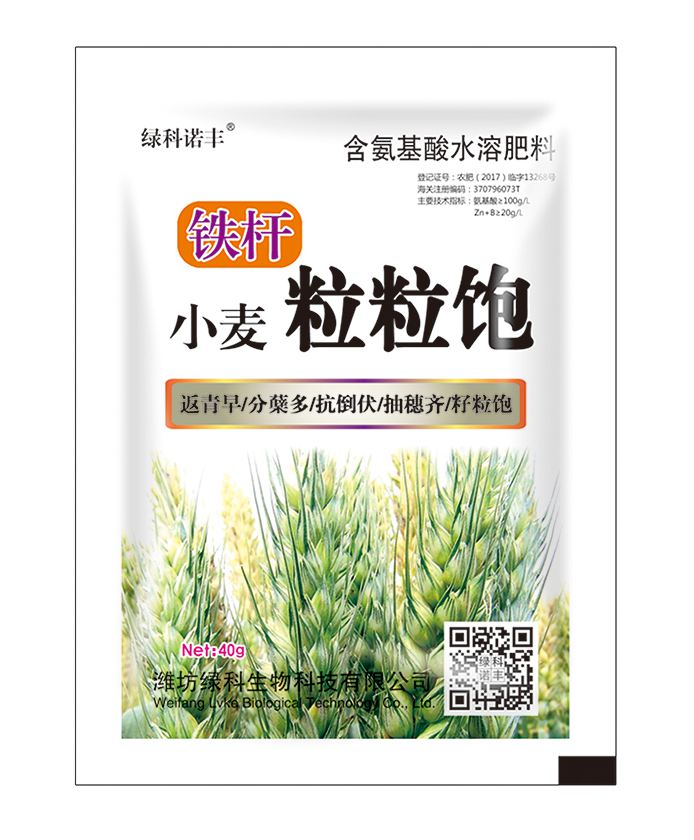 鐵桿 小麥粒粒飽 40g單袋 含氨基酸水溶肥料 綠科